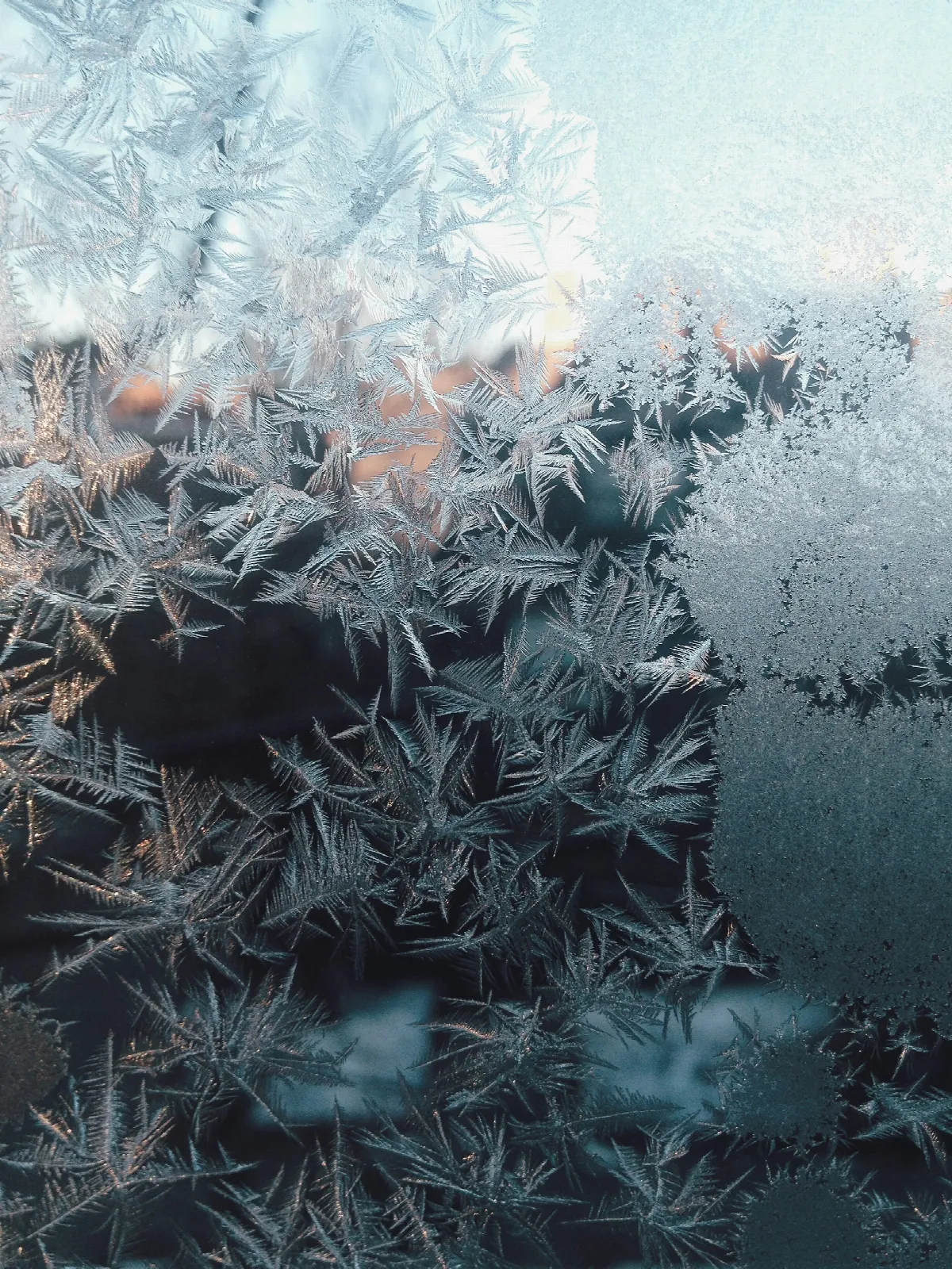 Intricate frost patterns spread across a window pane with soft light behind them