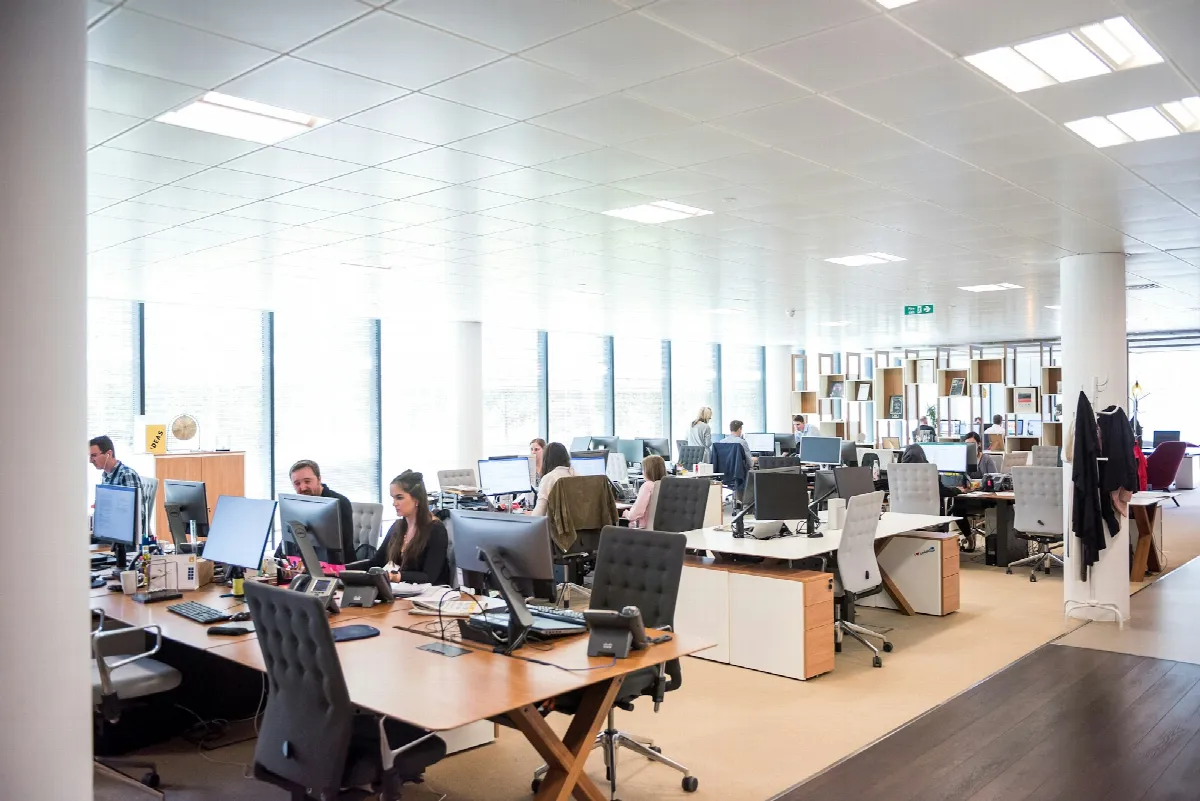 People working at rows of desks with computers in a bright open-plan office