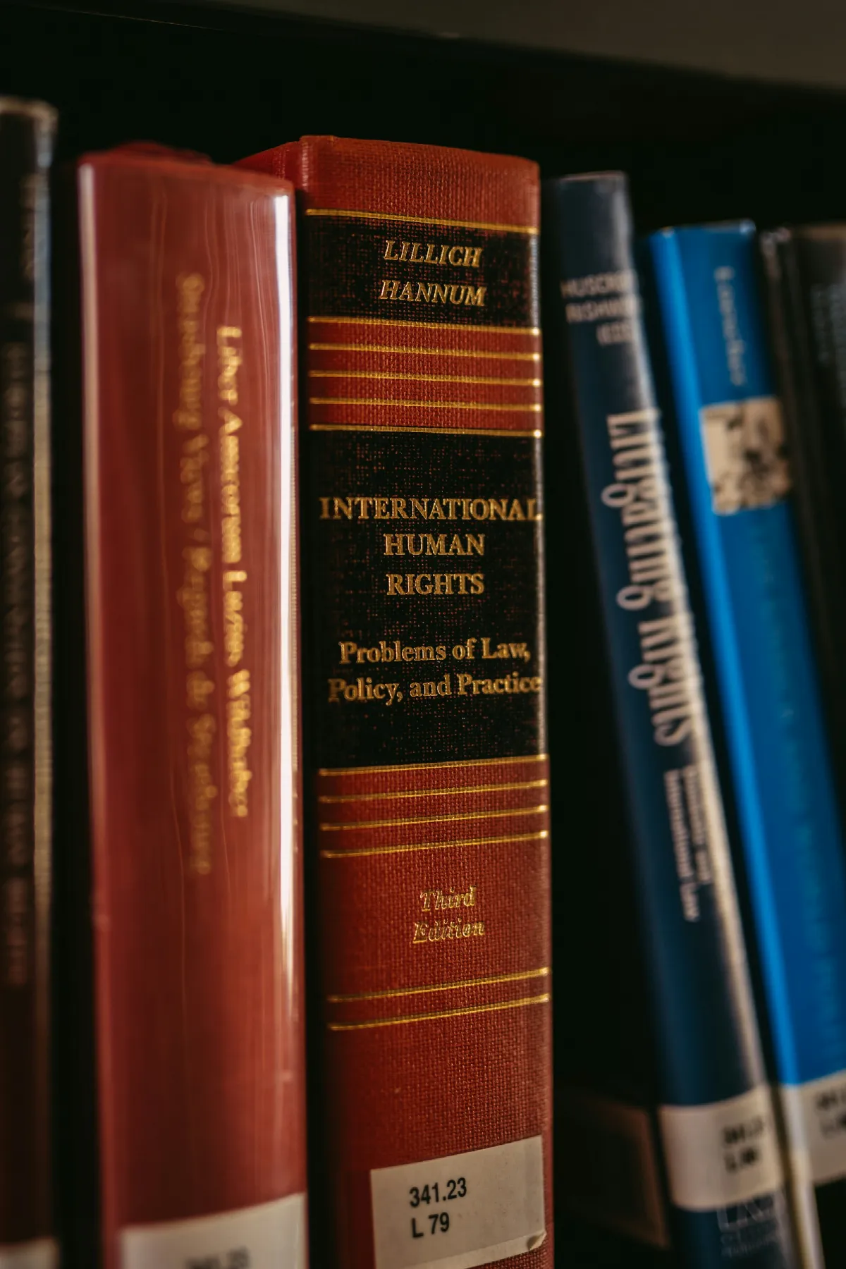 A shelf of law and human rights books with blue and teal spines